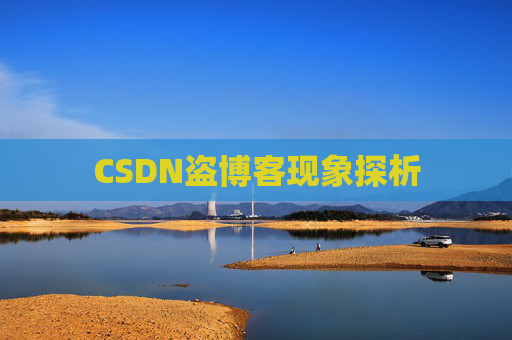 CSDN盗博客现象探析